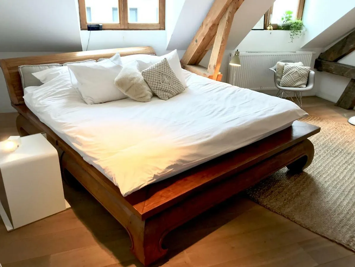 Tempor'Area Apartment Antwerp